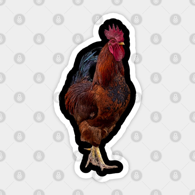 rooster Sticker by rickylabellevie